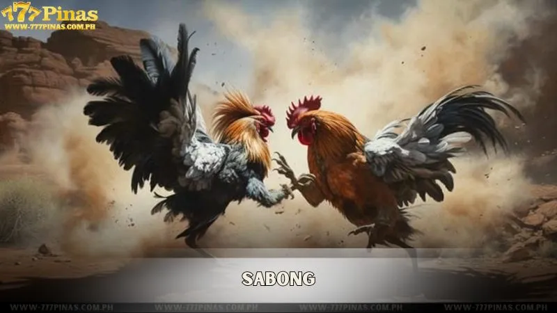Sabong
